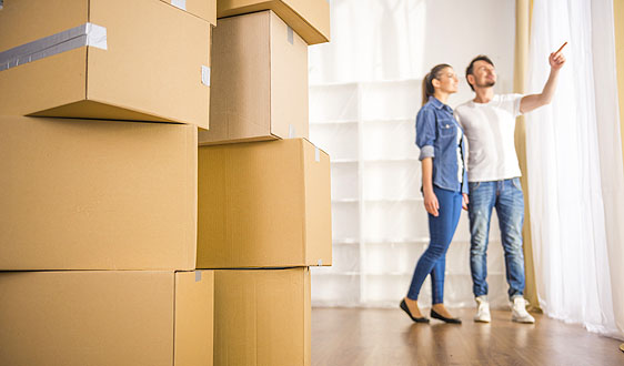 move-in and move-out cleaning services